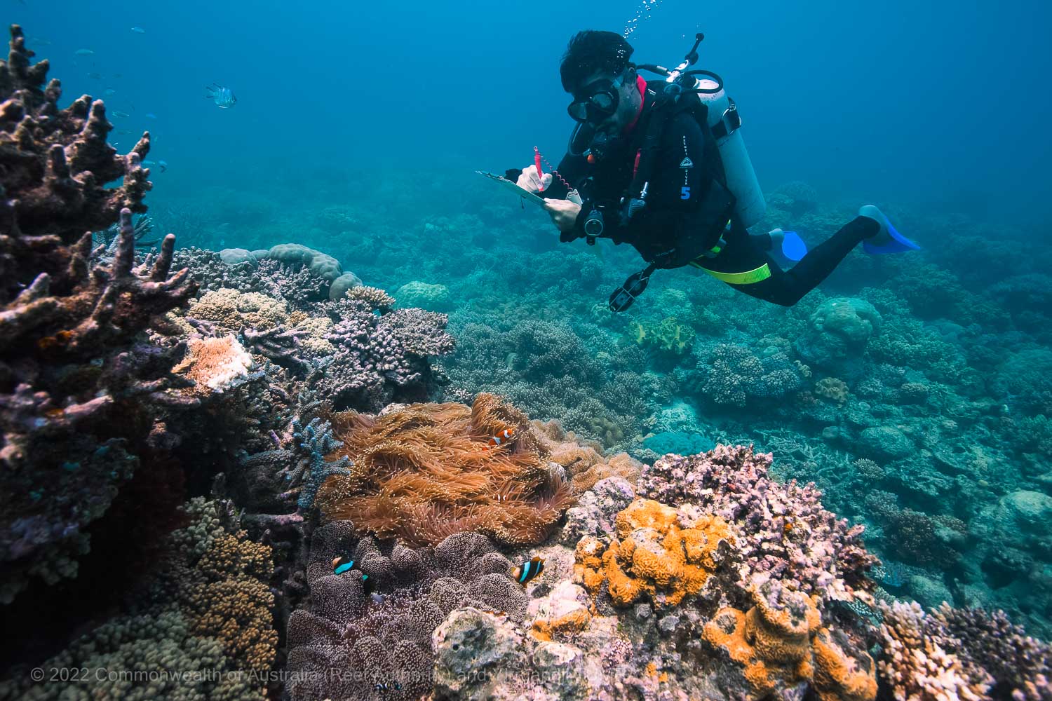 Yirrgandji TUMRA - Commonwealth of Australia (Reef Authority)