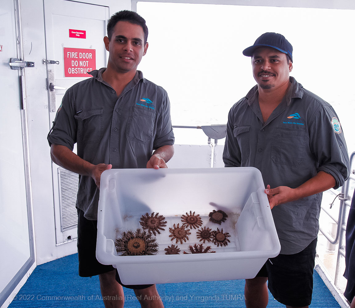 Yirrgandji TUMRA and Crown-of-thorns control management - Commonwealth of Australia (Reef Authority)
