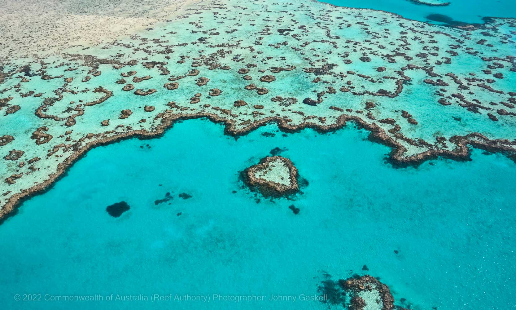 Heart reef found in the Whitsundays - Great Barrier Reef – Australia - © Commonwealth of Australia – (Reef Authority) - Photographer: Johnny Gaskell