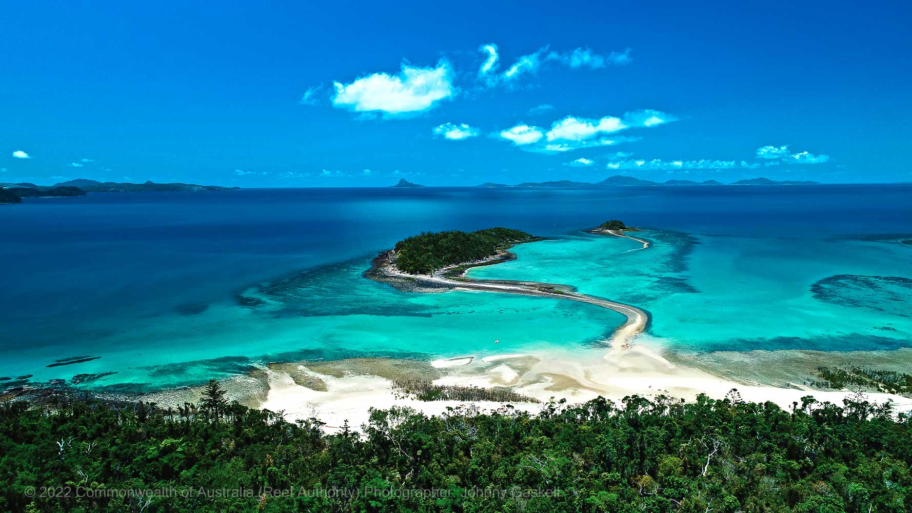 Continental Island Fringing Reef Garden 