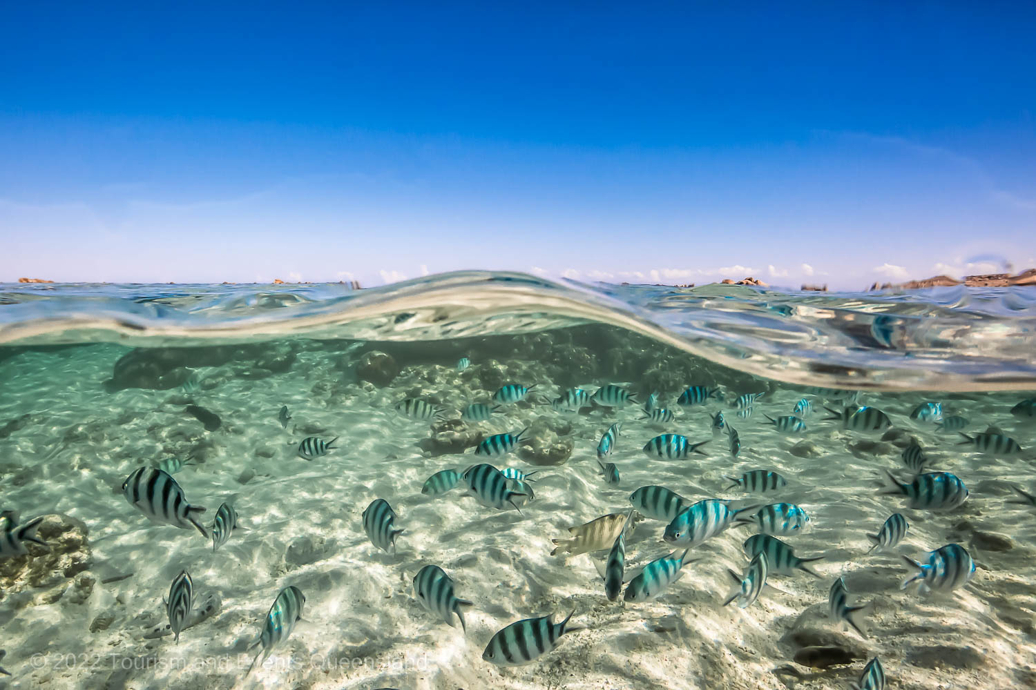 School of fish and sky photo – Australia - © Tourism and Events Queensland
