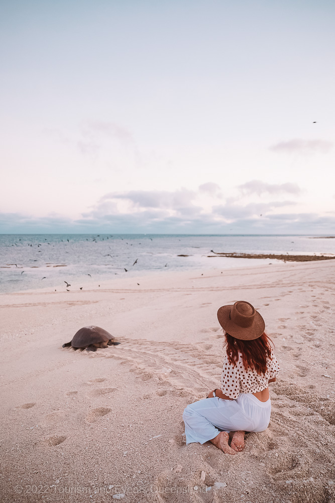 Person viewing a turtle heading back to the water photograph  – Australia - © Tourism and Events Queensland