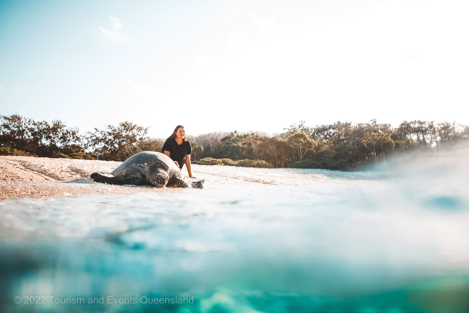 Person viewing a turtle heading back to the water photograph  – Australia - © Tourism and Events Queensland