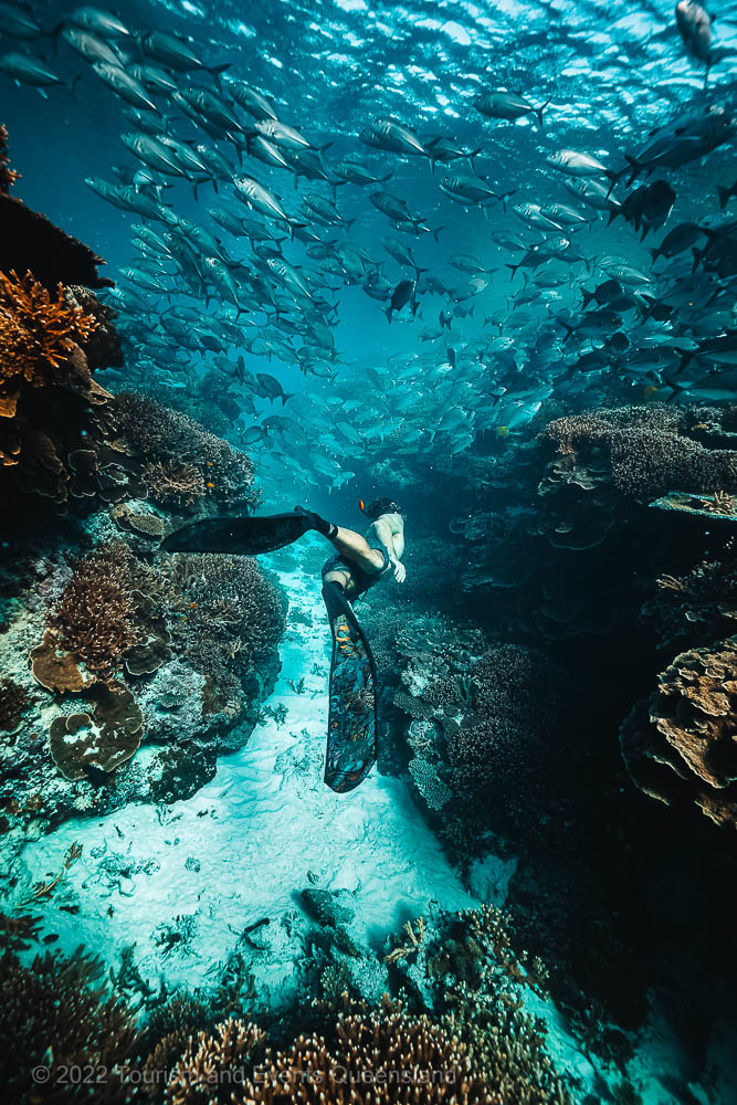 Snorkeler swimming through a coral bommie - Great Barrier Reef  – Australia - © Tourism and Events Queensland