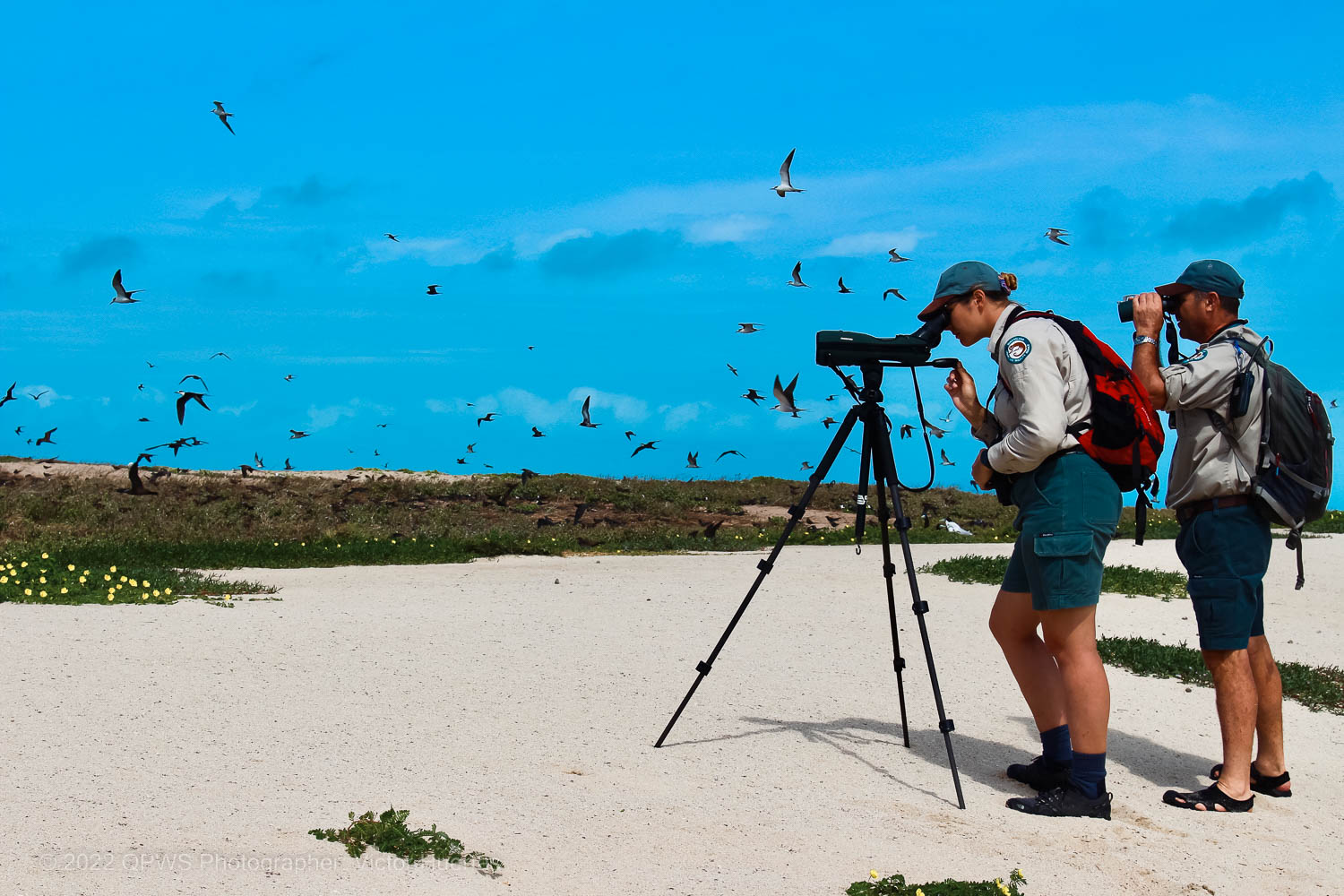 Bird surveying with the Joint Field Management Program – Australia - © QPWS - Photographer: Victor Huertas