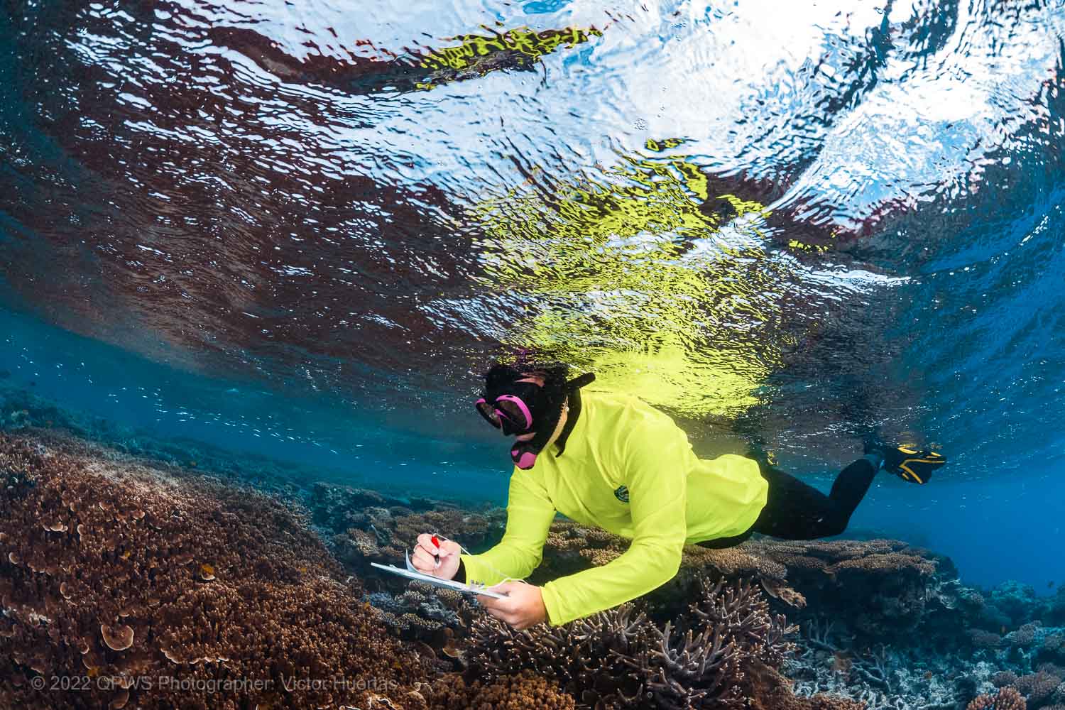 Reef health survey – Australia - © QPWS - Photographer: Victor Huertas