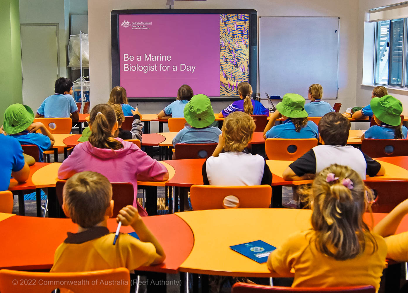 Be a Marine Biologist for the Day - Educational Tourism
