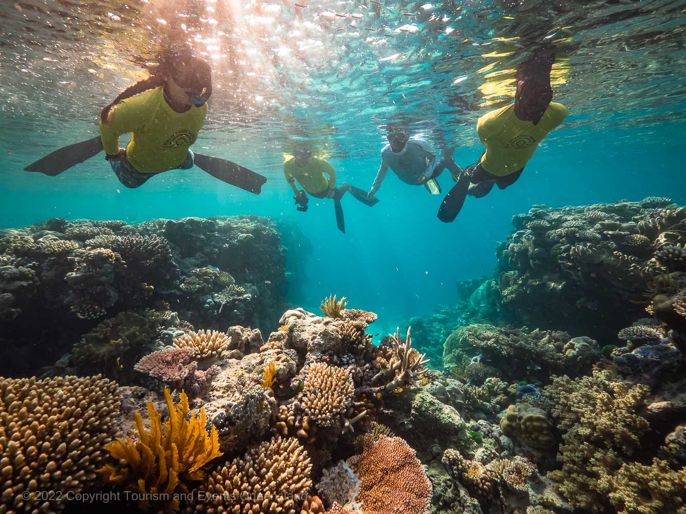 Exploring the shallow lagoons of the Reef