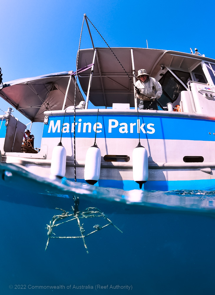 Bait Reef - Whitsundays - Great Barrier Reef - Commonwealth of Australia (Reef Authority)