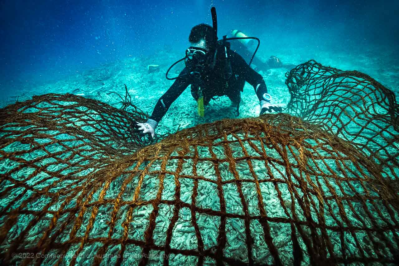 Bait Reef - Whitsundays - Great Barrier Reef - Commonwealth of Australia (Reef Authority)