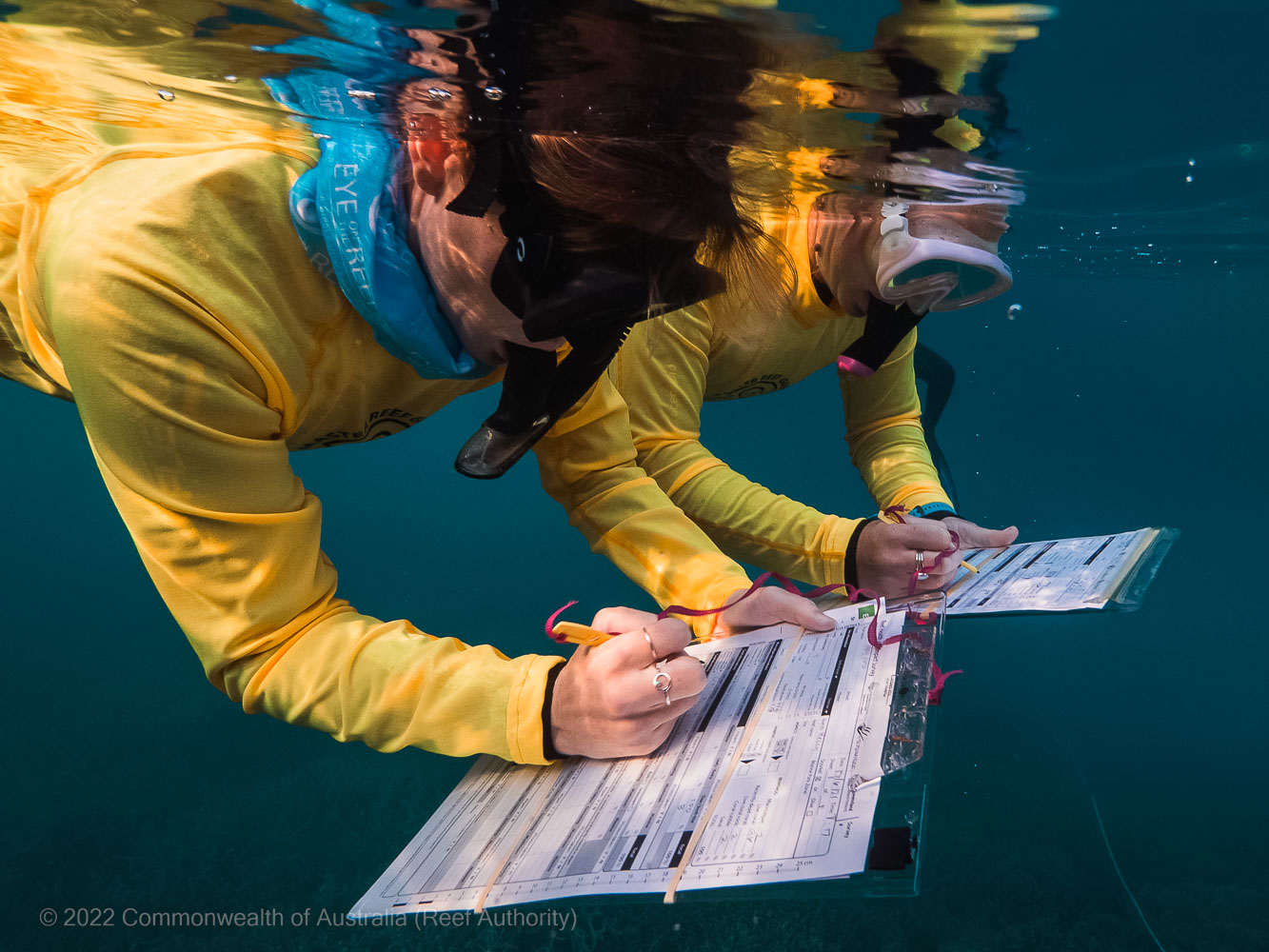 In water surveys with Master Reef Guides