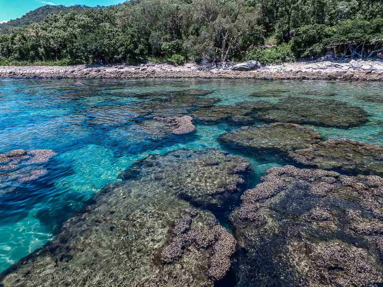 Great Barrier Reef - Commonwealth of Australia (Reef Authority)