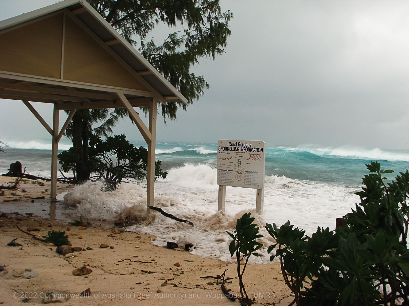 Storm surge - Commonwealth of Australia (Reef Authority)