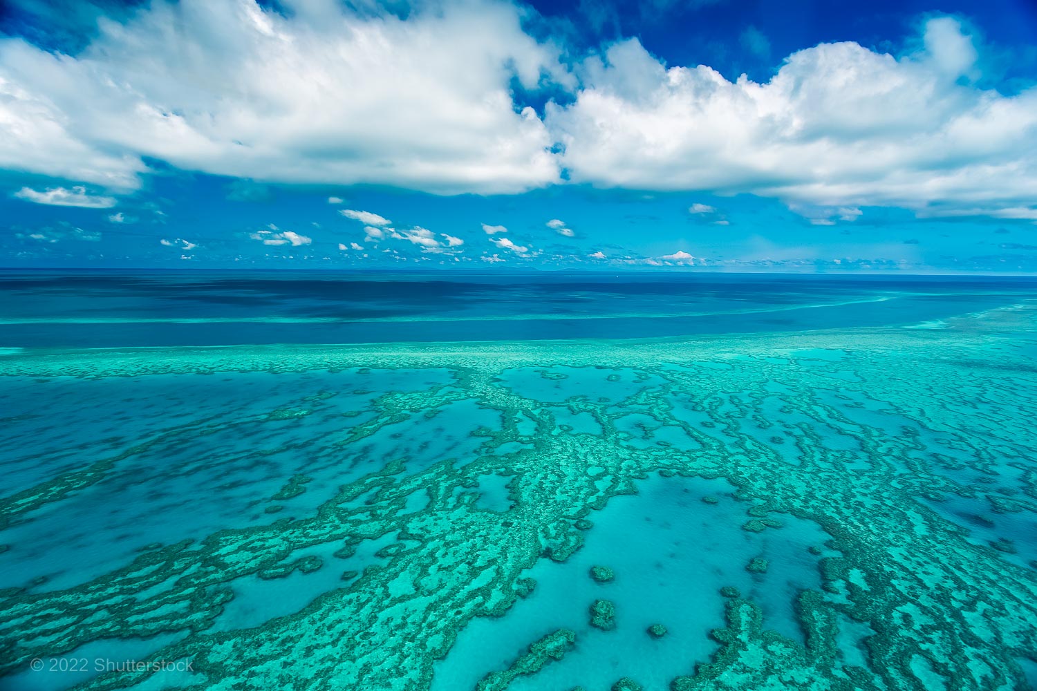 Aerial view of the Reef