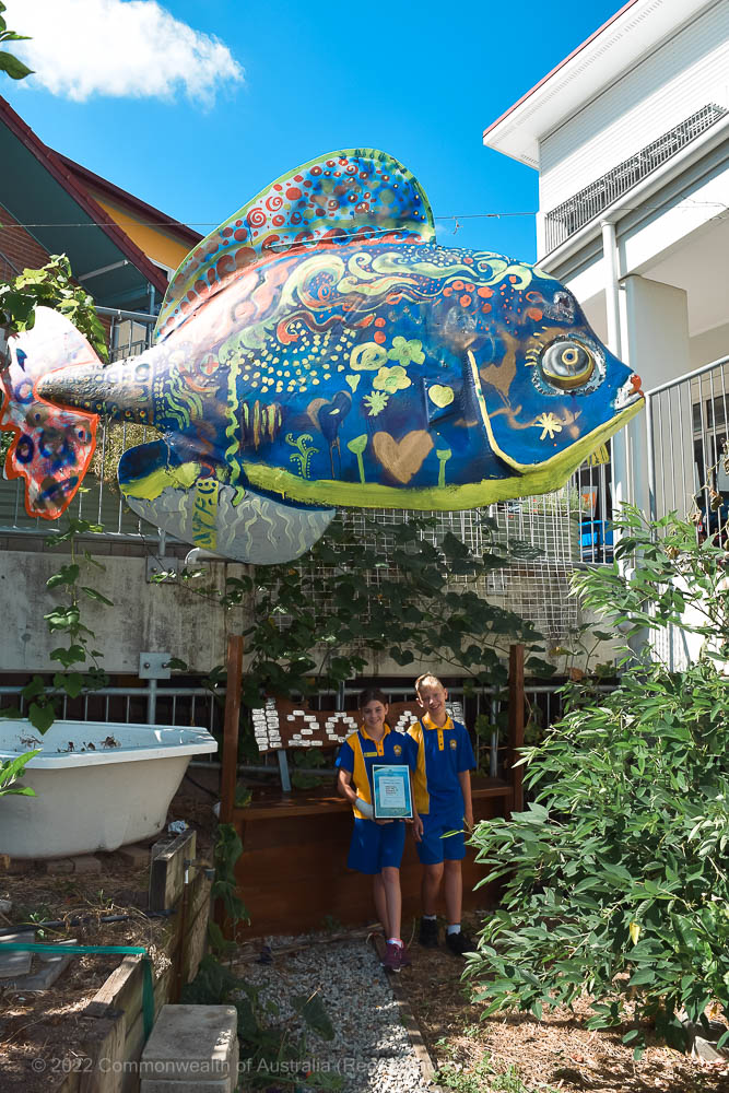 Reef Guardian School Fish