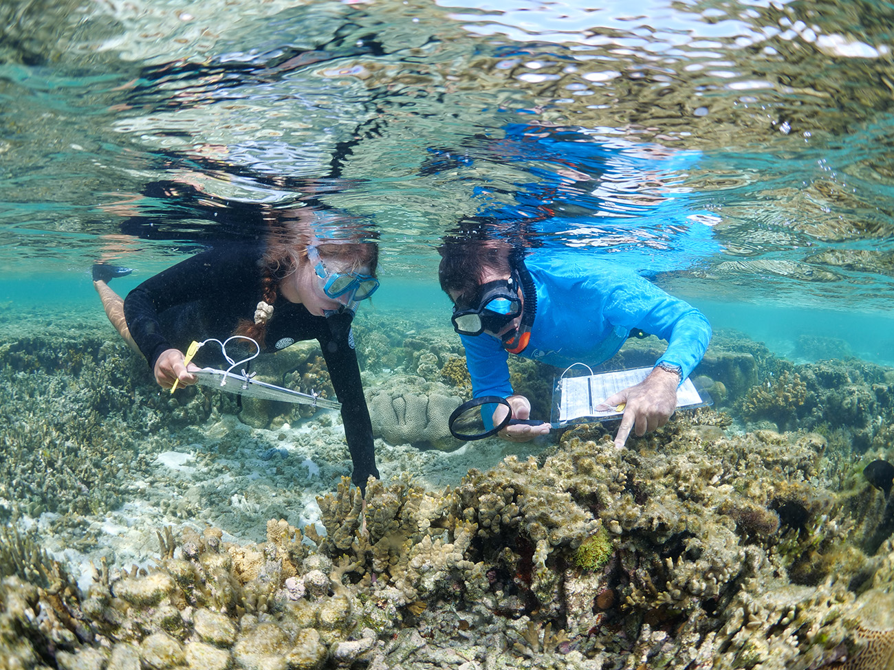 Underwater surveys