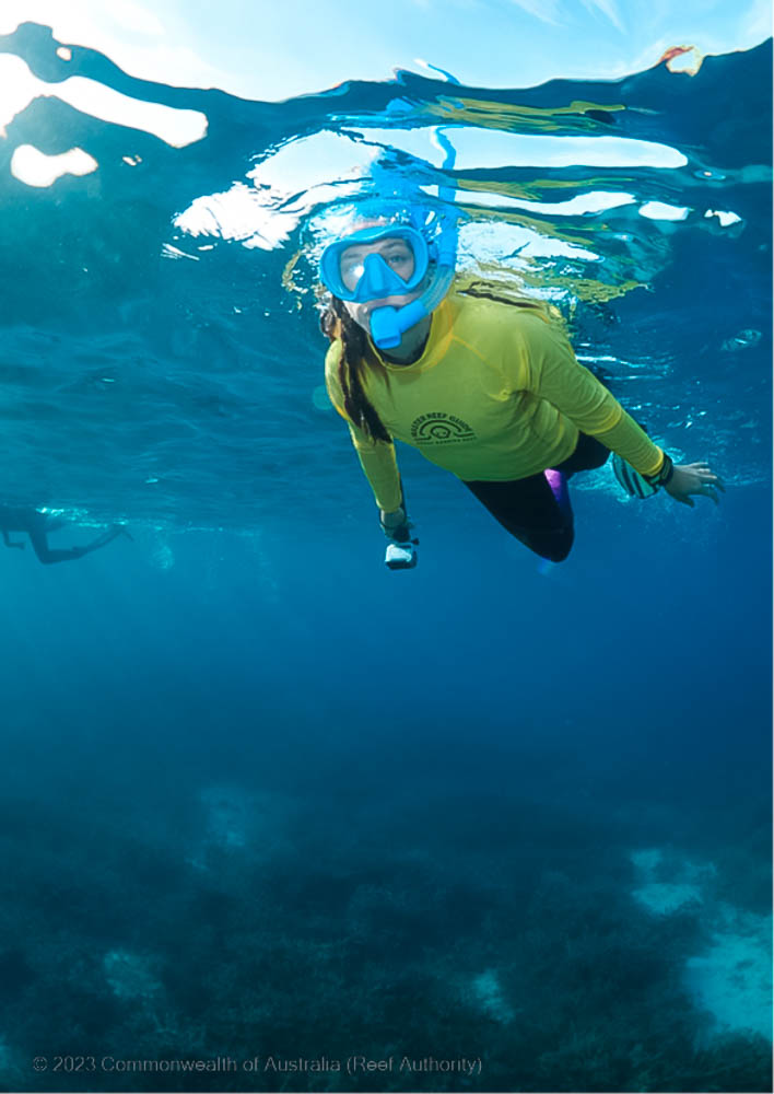 Master Reef Guide snorkeling on the Great Barrier Reef, Queensland, Australia