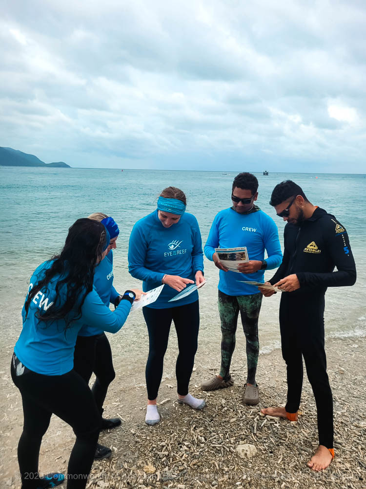 © Commonwealth of Australia - Reef Authority - Tourism Reef Protection Initiative - Experience-Co-GBR-Biology-03052023-Fitzroy-Island-Rocks-BAMBFAD-Staff-Planning-Kashenka-Kristy-Brian-Ahkeem-Florence