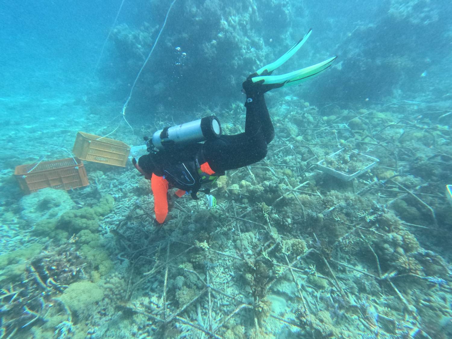 Reef bag installation over coral rubble