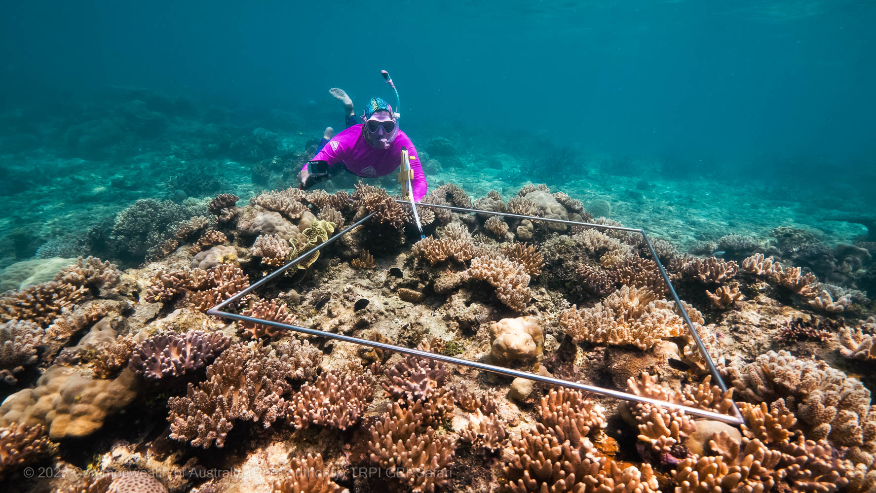 ©- Tourism Reef Protection Initiative-GBR-Safaris-Measuring-the-distance