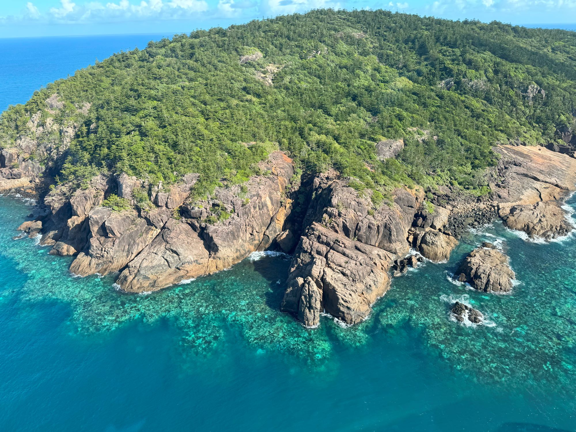 Coral bleaching prevalent from aerial surveys