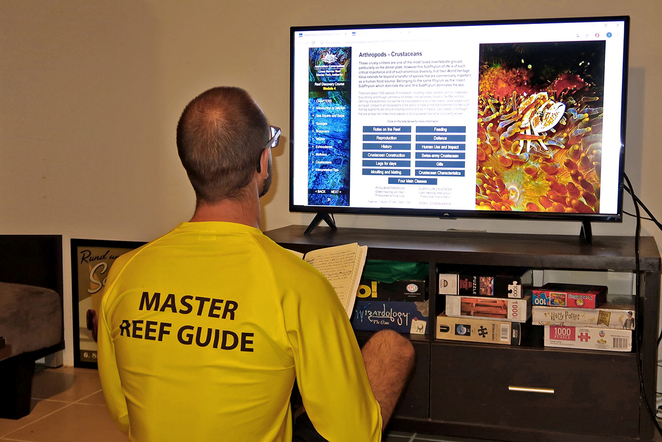 User Reef Discovery Course online learning Reef