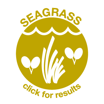 Seagrass: click for results