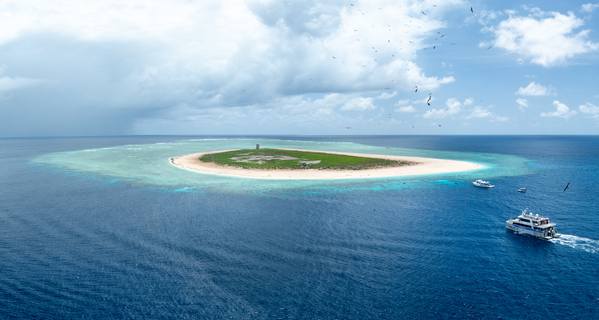 Reef Ranger approaching Raine Island
