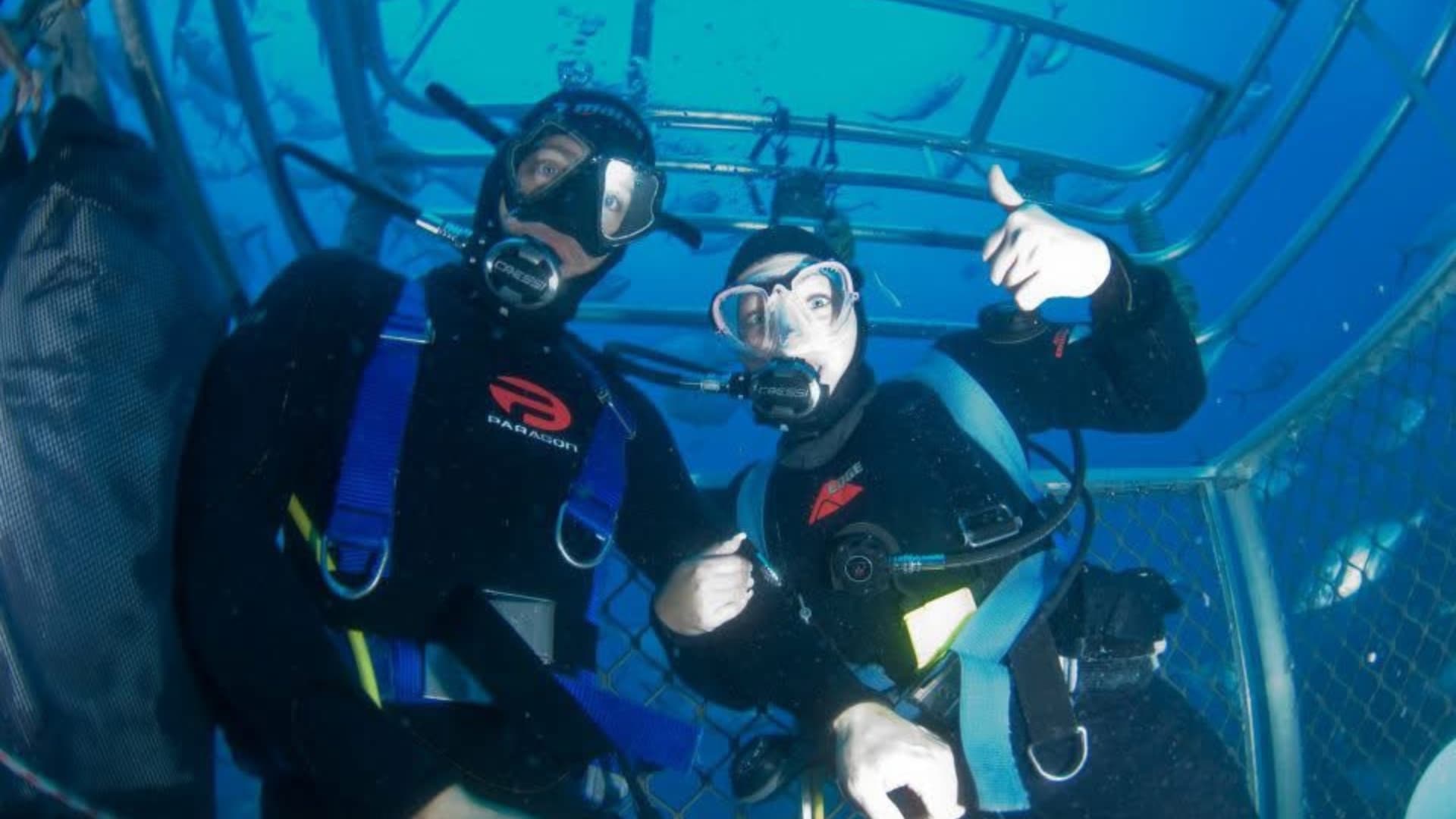 Two divers underwater