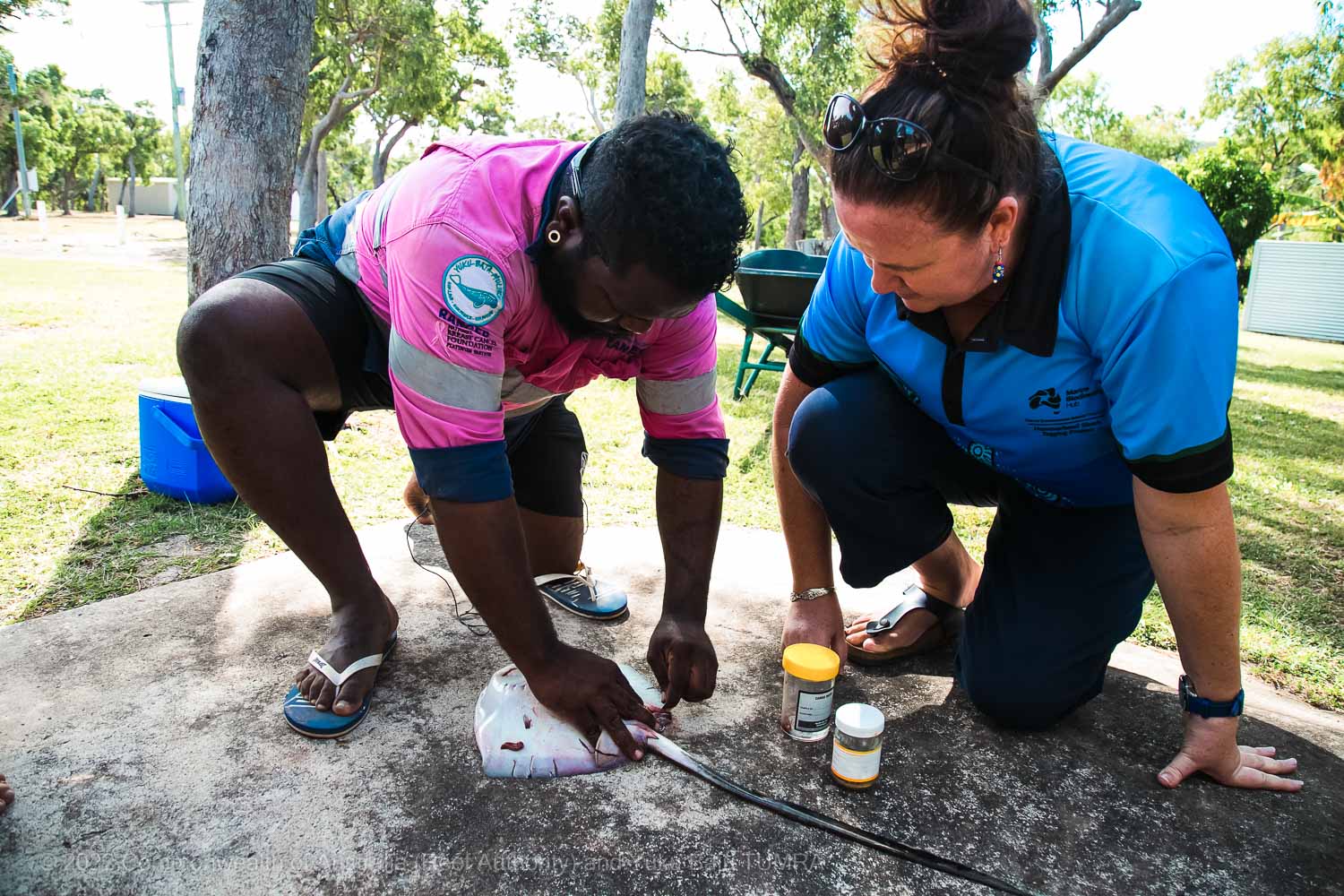 Yuku Baja-Muliku TUMRA - Commonwealth of Australia