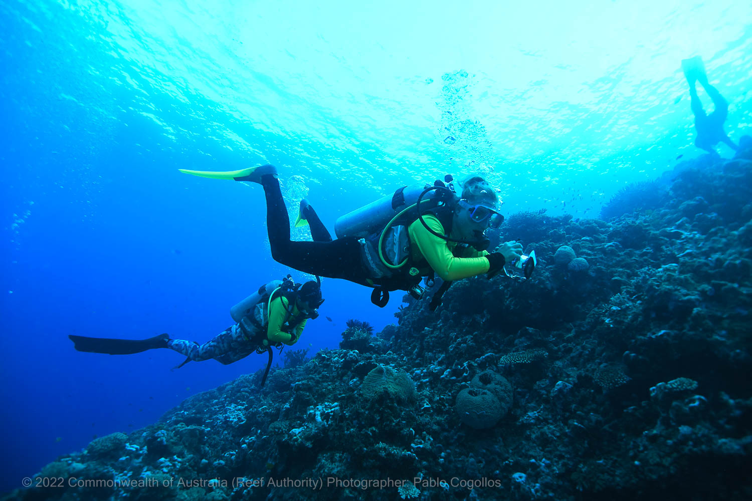 Diving Outer Great Barrier Reef