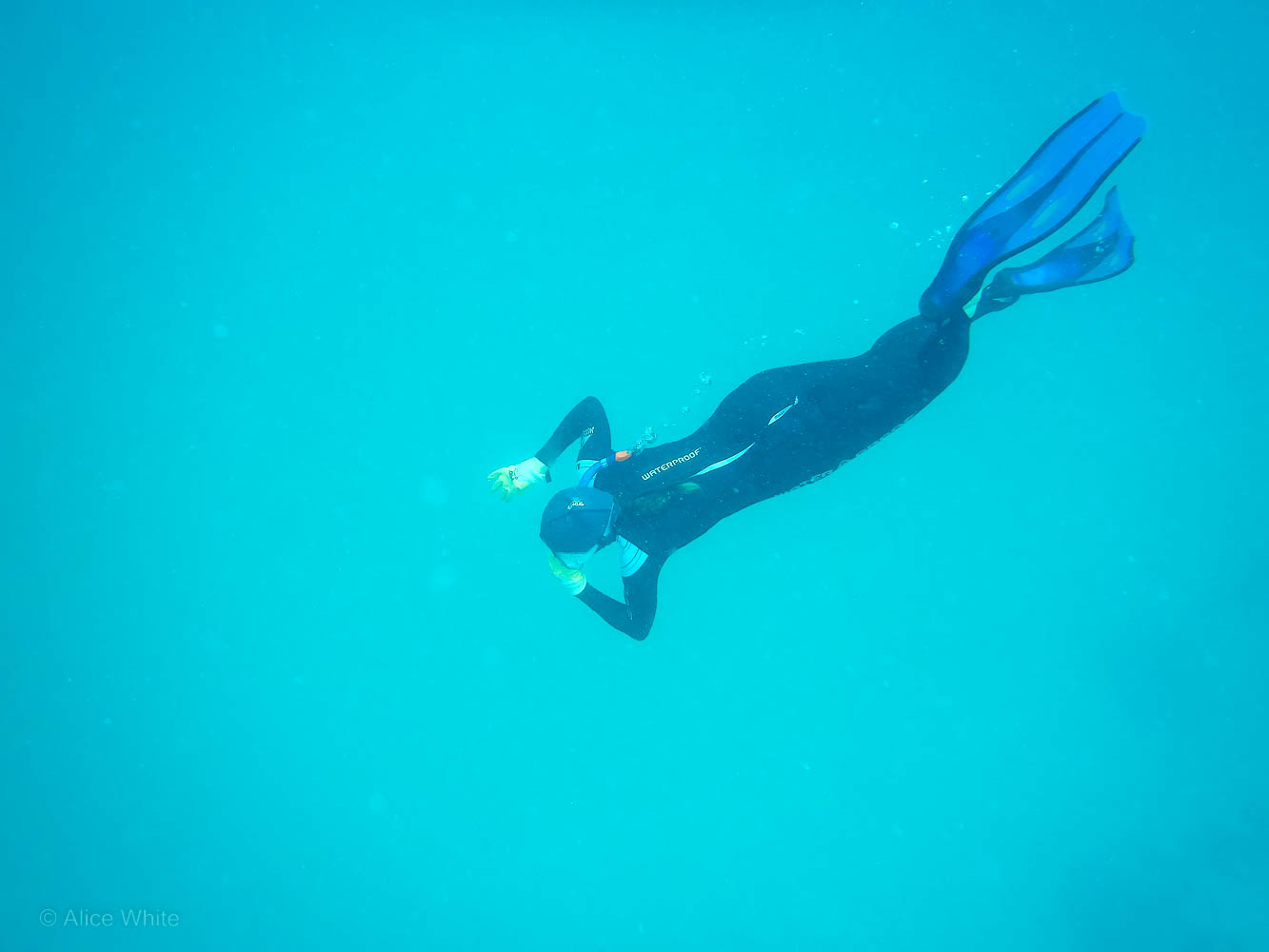 Alice White - Senior Planning Officer Great Barrier Reef Marine Park Authority