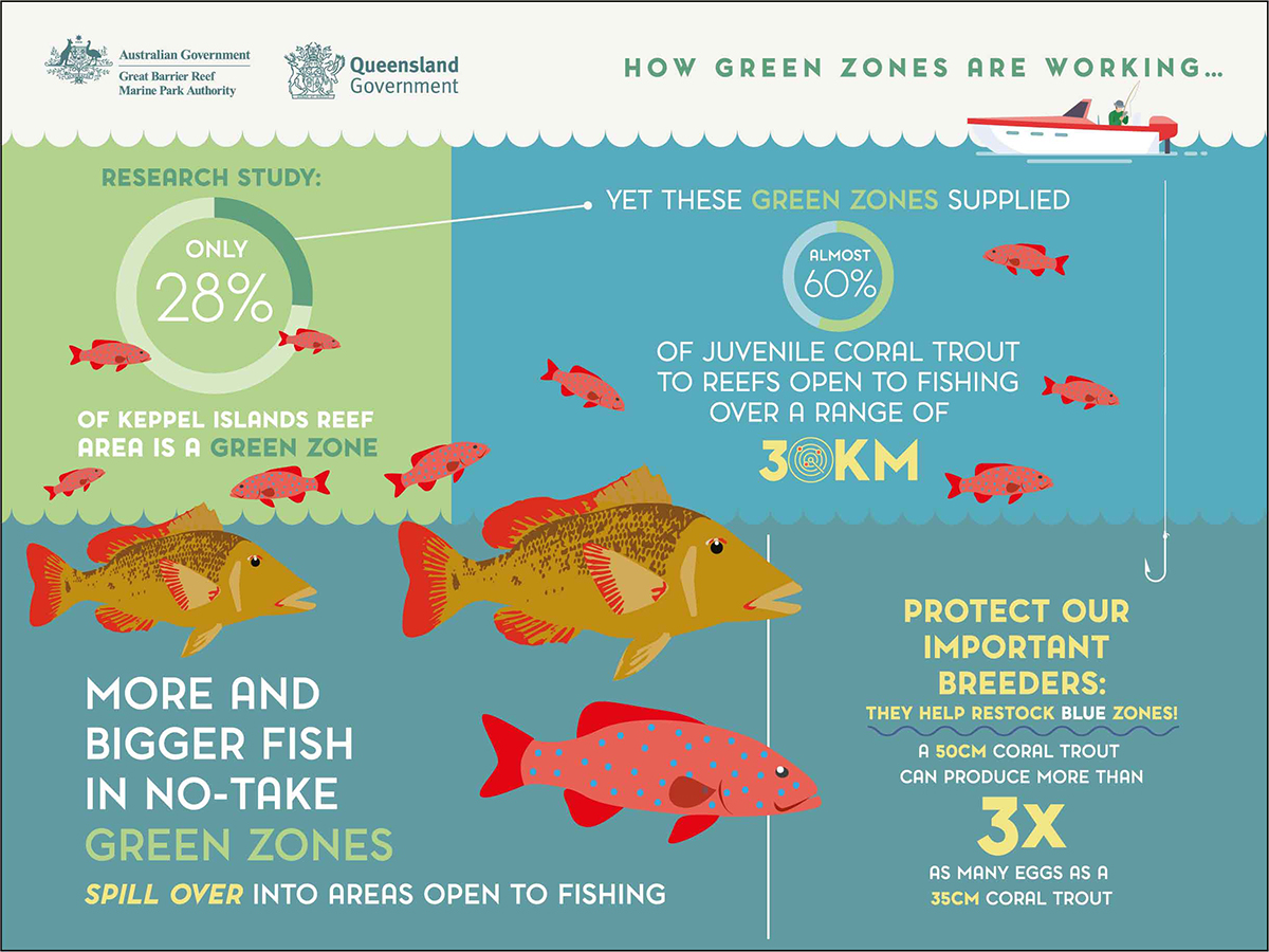 How Green Zones Work Fishing Great Barrier Reef