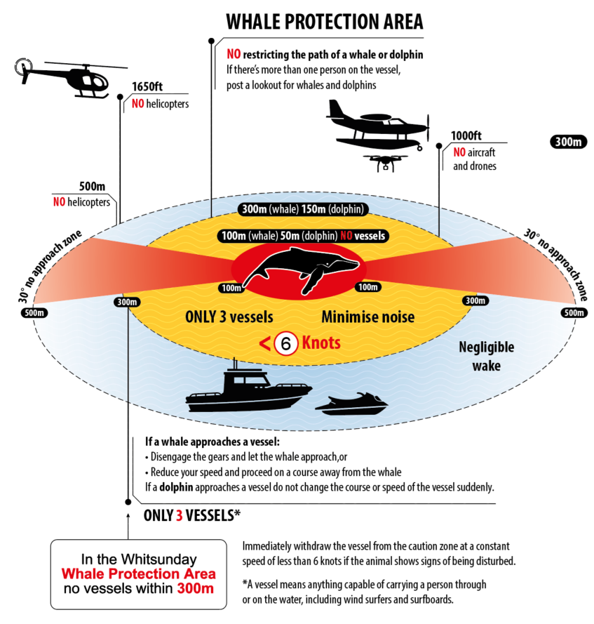 Safe Whale Distances