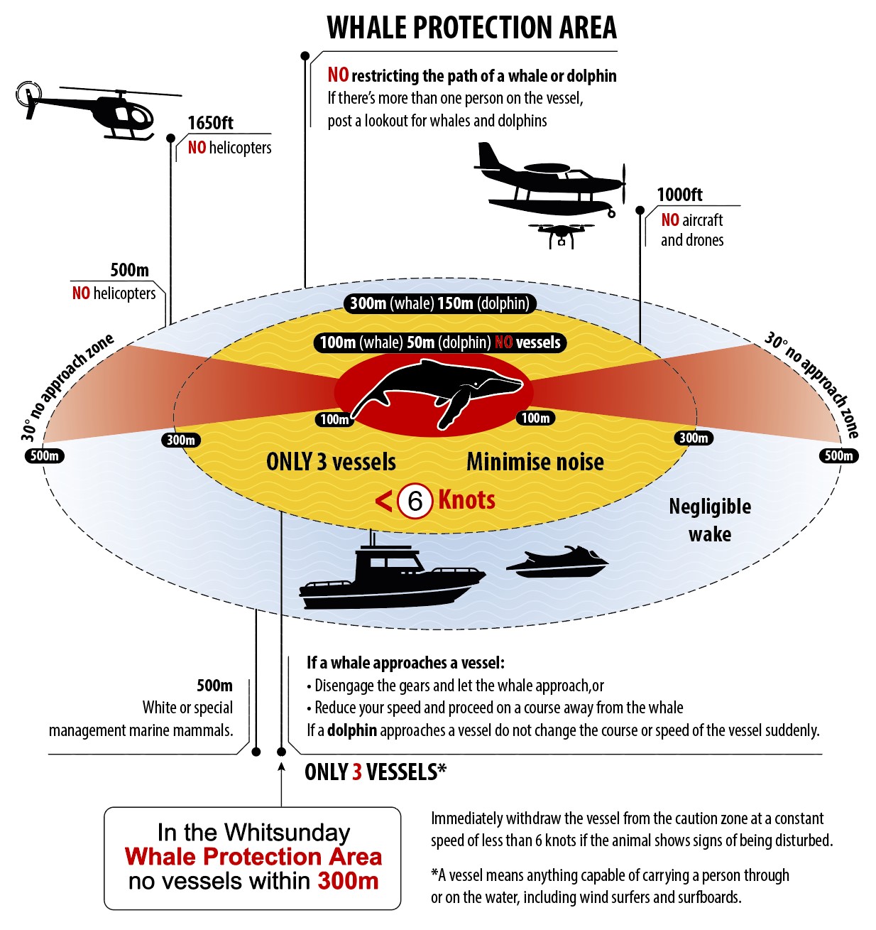 Safe-Whale-Distances 
