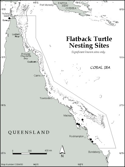 Flatback turtle nesting sites