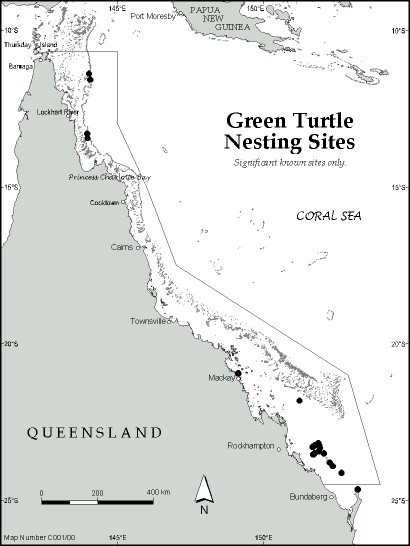 Green sea turtle nesting sites