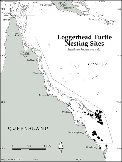 Loggerhead turtle maps