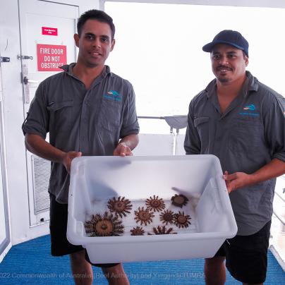 Yirrgandji TUMRA and Crown-of-thorns control management - Commonwealth of Australia (Reef Authority)