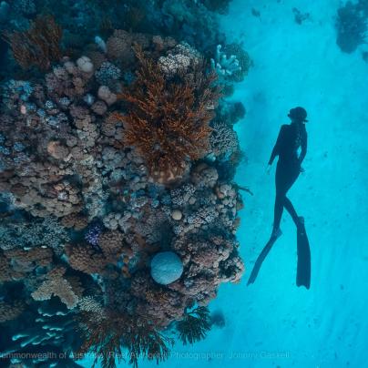 Coral bommie with diver photograph – Australia - © Commonwealth of Australia – (Reef Authority) - Photographer: Johnny Gaskell