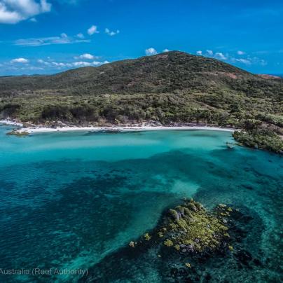 Aerial island photo - Great Barrier Reef - Commonwealth of Australia (Reef Authority)
