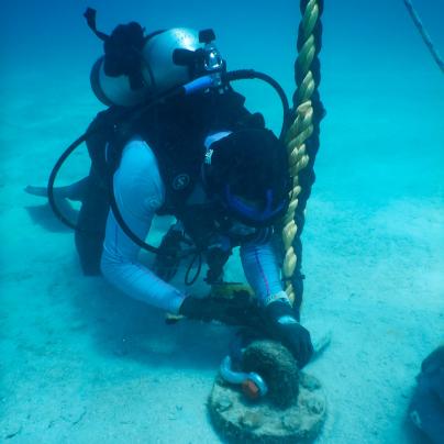 Divers completing field management work – Australia - © QPWS - Photographer: Victor Huertas
