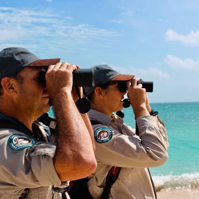 Reef Rangers Queensland Parks Wildlife Service working with Tourism Operators