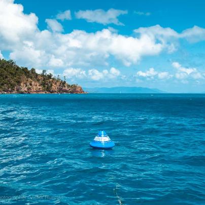 Public moorings buoy photo – Australia - © QPWS - Photographer: Victor Huertas