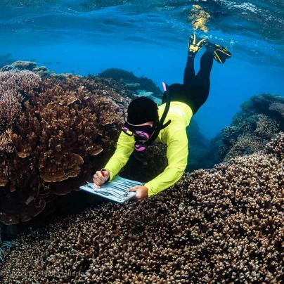 Reef health survey – Australia - © QPWS - Photographer: Victor Huertas