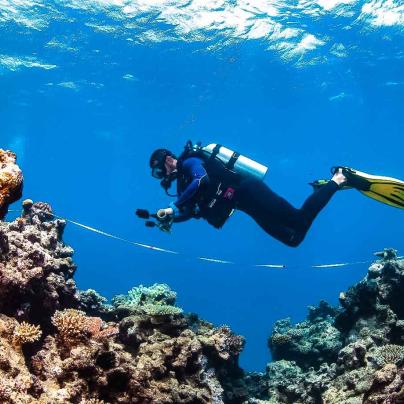 Diver monitoring the Reef for science - Australia -  © Victor Huertas