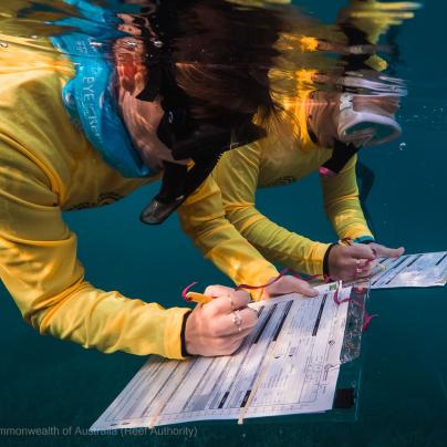 In water surveys with Master Reef Guides
