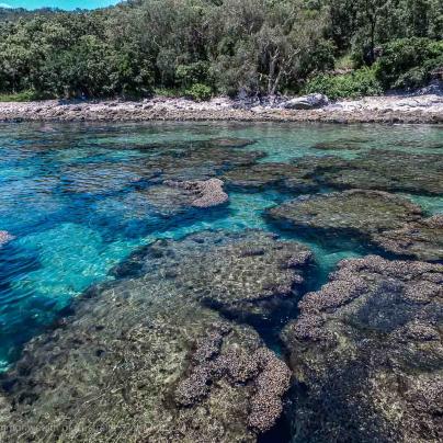 Great Barrier Reef - Commonwealth of Australia (Reef Authority)