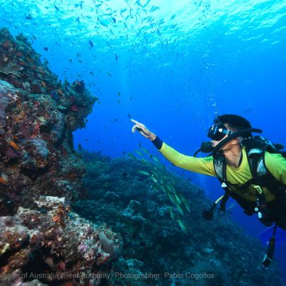 Exploring the outer Reef with Master Reef Guides