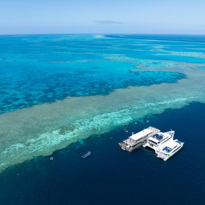 Awards and recognitions of the Reef Authority